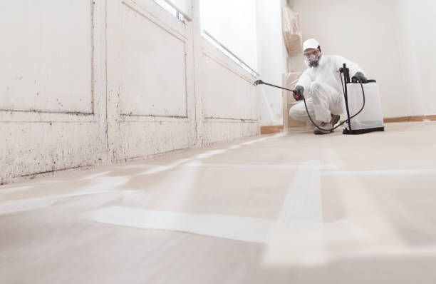 Black mold remediation team in Syosset
